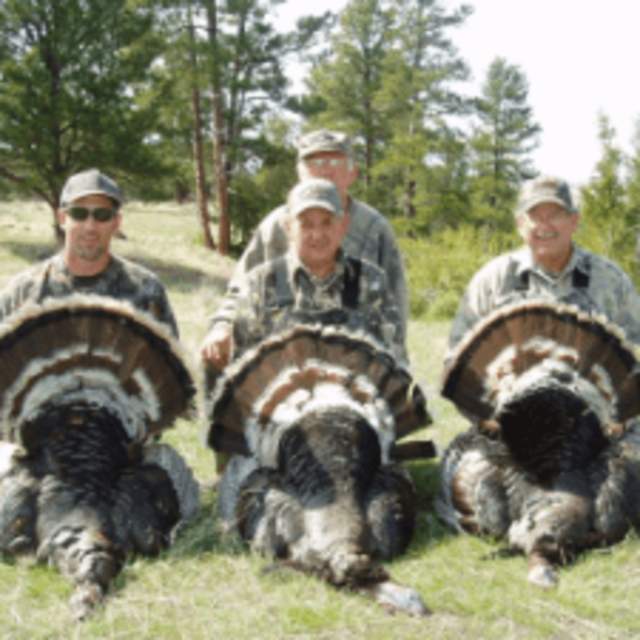 Jolley Ranch Outfitters