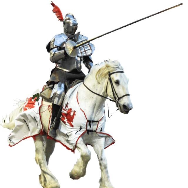 Tournament of Knights