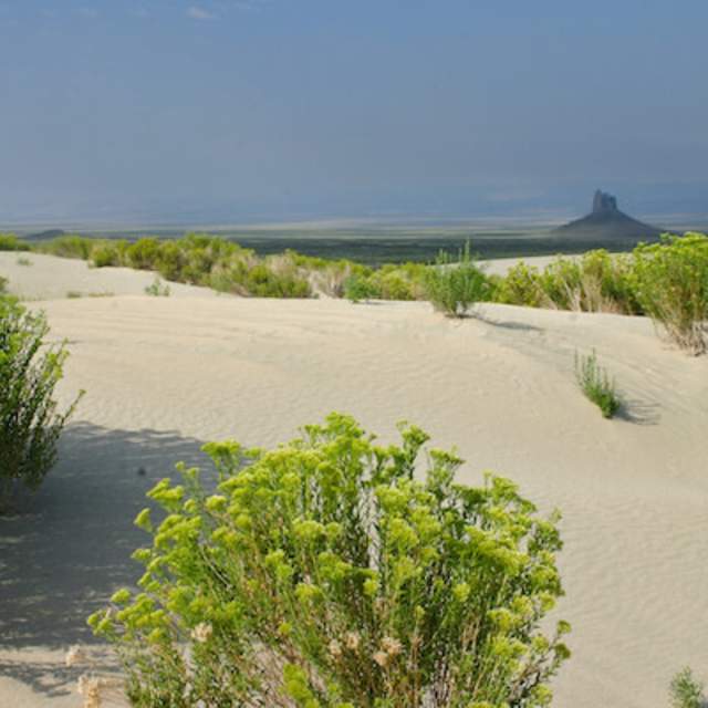 Killpecker Sand Dunes