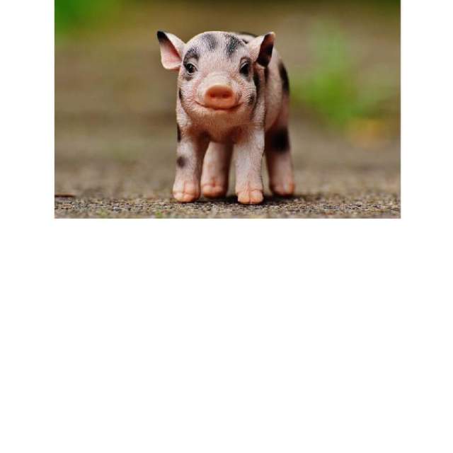 2026 Sublette County Fair