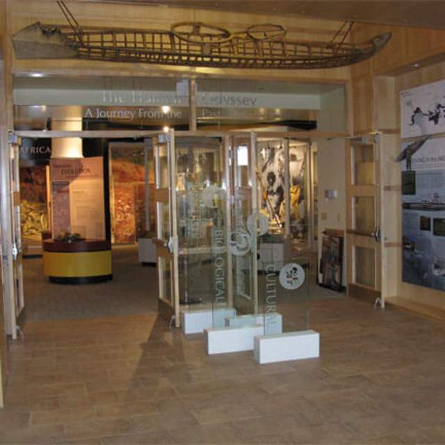 University of Wyoming Anthropology Museum