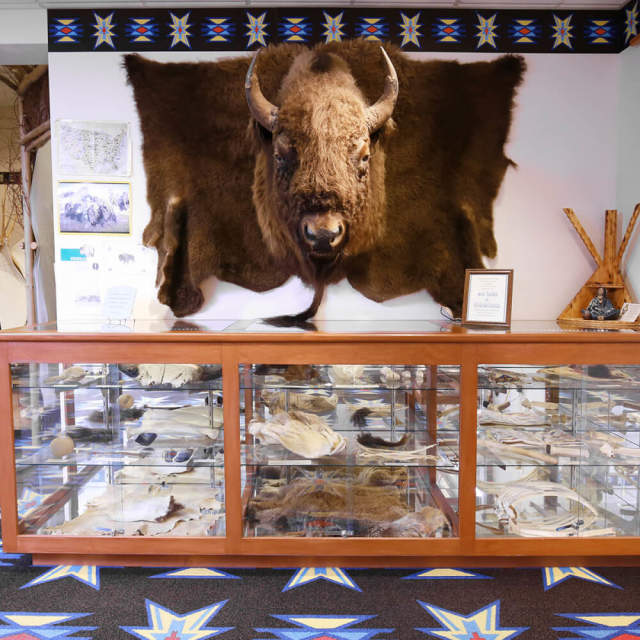 Northern Arapaho Experience Culture Room