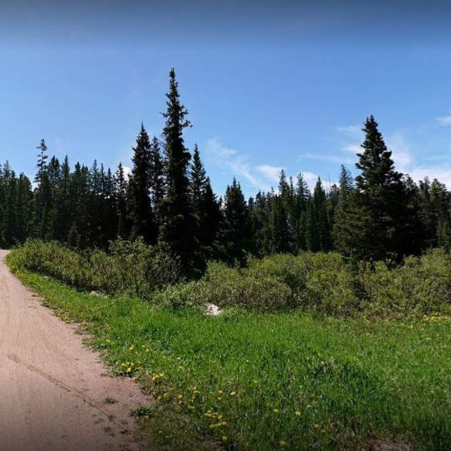 Owen Creek Campground - Bighorn National Forest