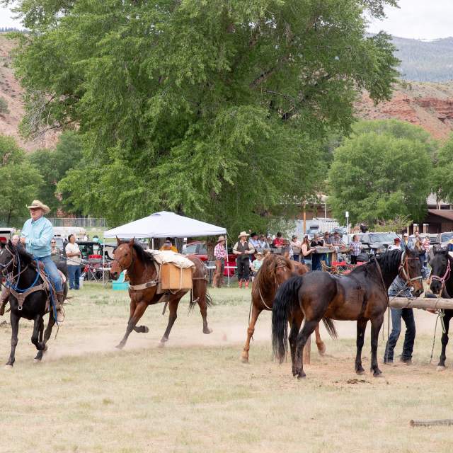 18th Annual Don Scheer Memorial Packhorse Race