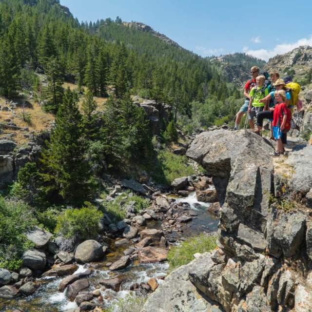 The Falls Trail