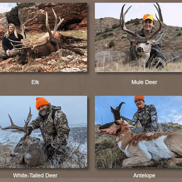 Powder Horn Outfitters, LLC