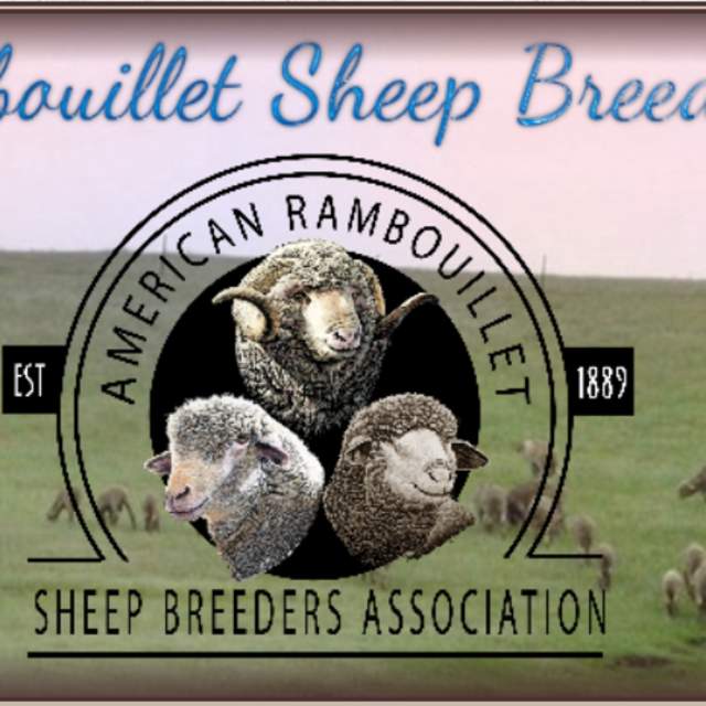 National Rambouillet Show and Sale