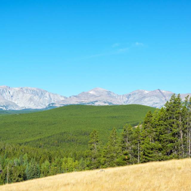 Rangeland Enterprises
