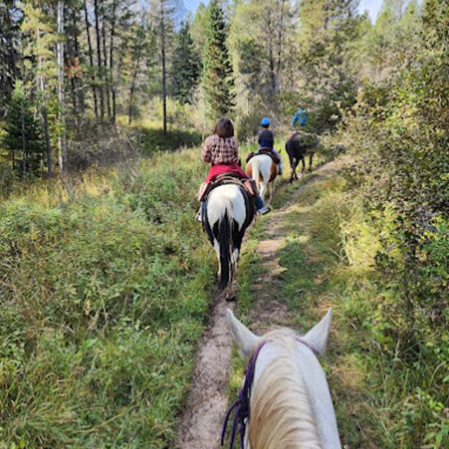 Rockin' M Horseback Rides