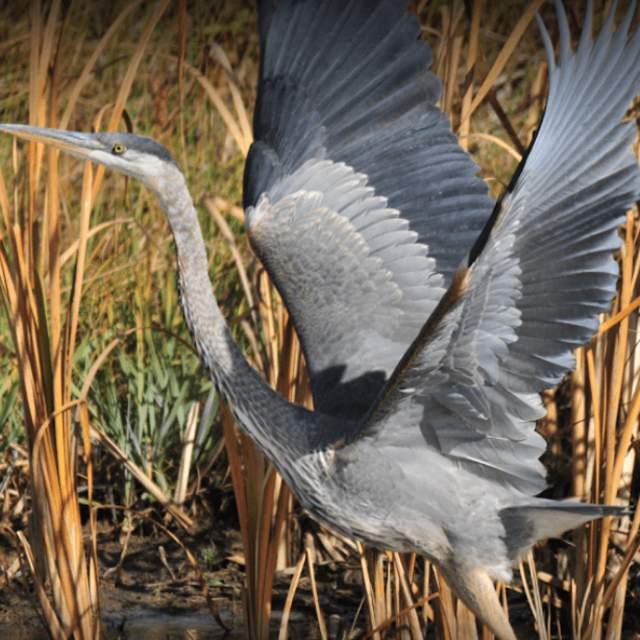 Seedskadee National Wildlife Refuge
