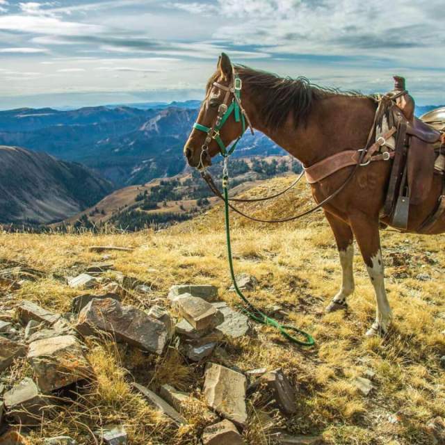 Star Valley Outfitters