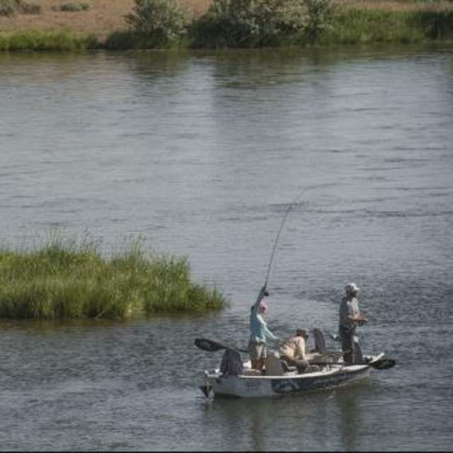 Ugly Bug Fly Shop & Crazy Rainbow Fly Fishing