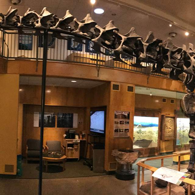 University of Wyoming Geological Museum