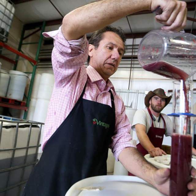 Vintages Handcrafted Wine