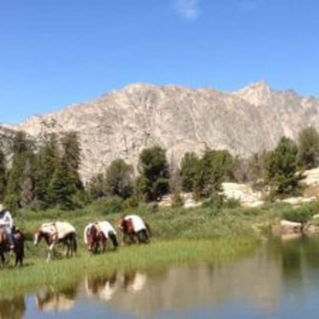 Western Wyoming Outfitters