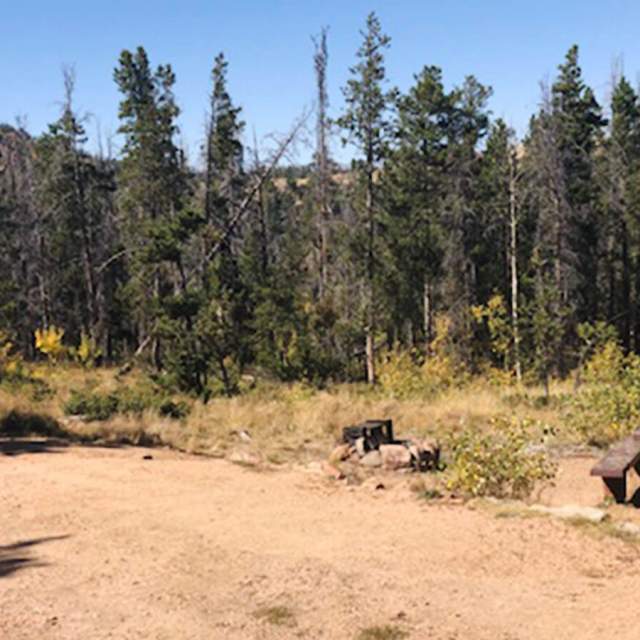 Yellow Pine Campground
