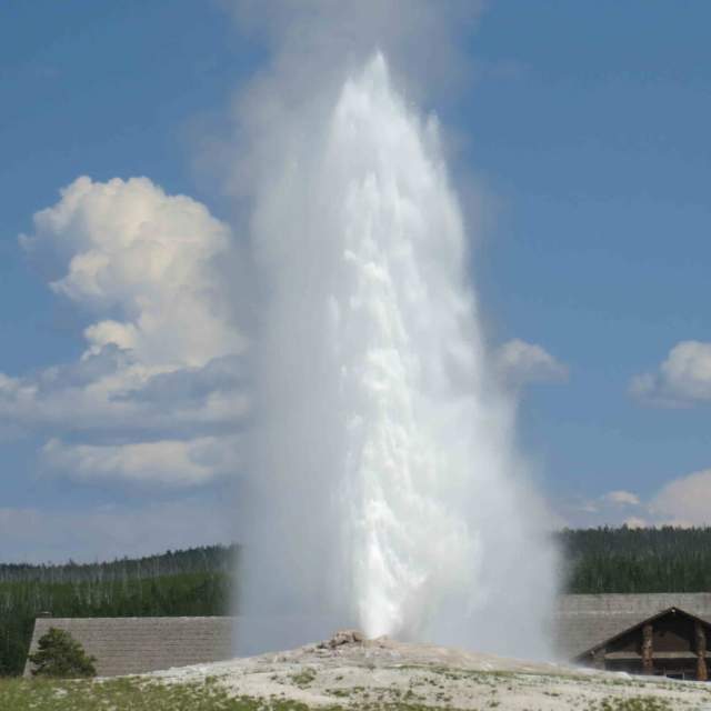 Yellowstone Day Tours