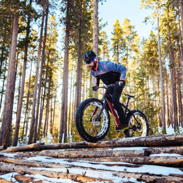 Zeelo's Cranks and Planks