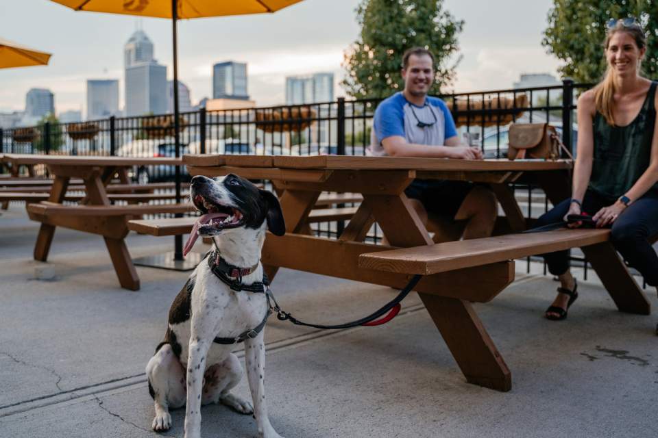 Metazoa Brewing is known as a welcoming location for dog lovers
