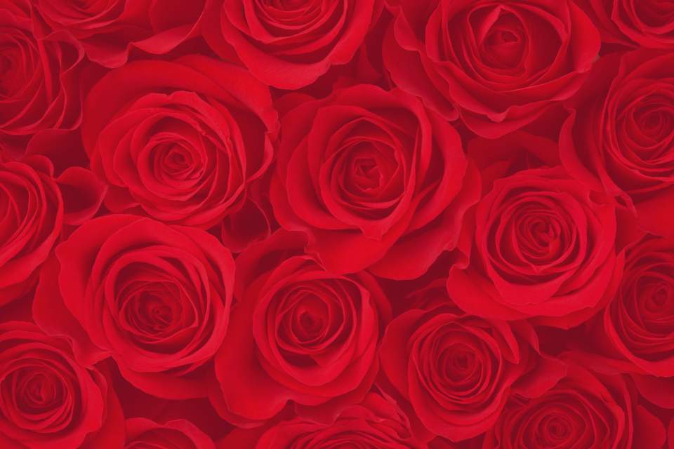 ROSE Awards