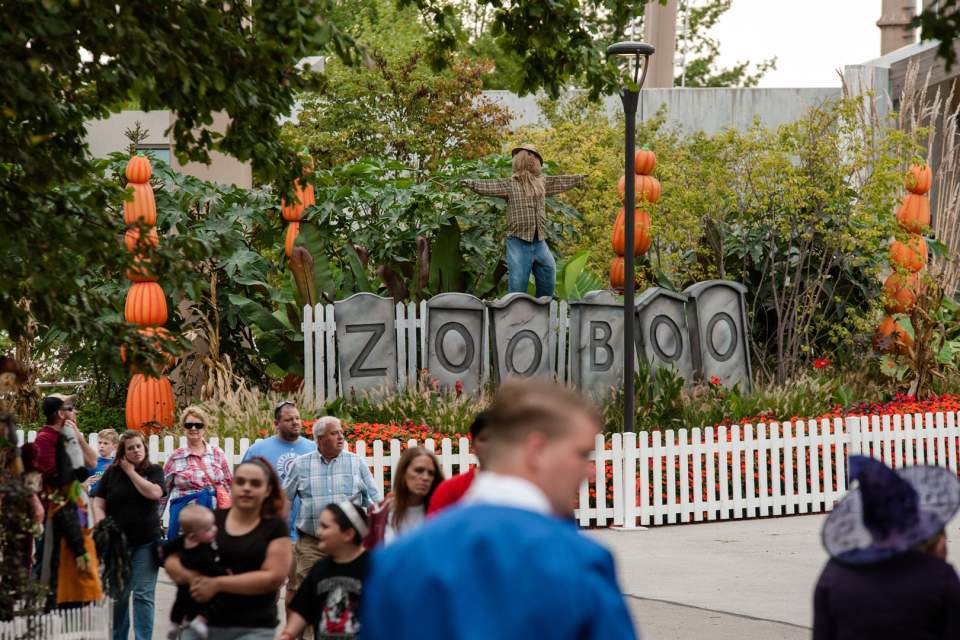 An outdoor walkway at the Indianapolis Zoo. Children in costumes walk through, and there is a sign that says "ZooBoo" in the background.