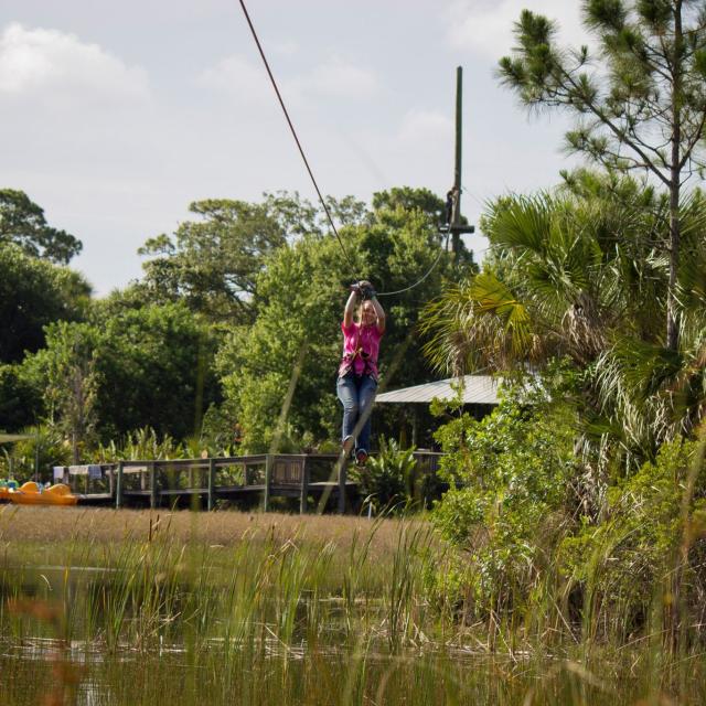 Brevard Zoo zipline on Tree Top Trek