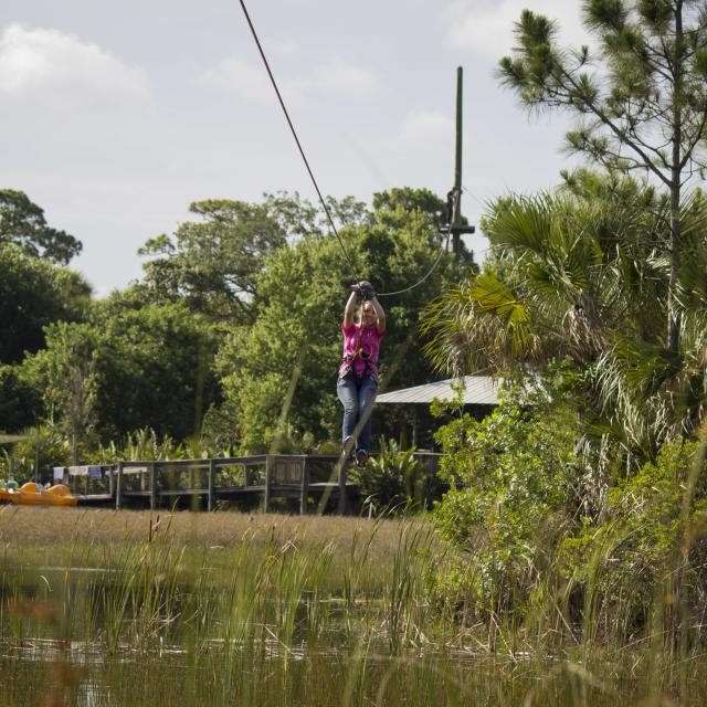 Brevard Zoo zipline on Tree Top Trek