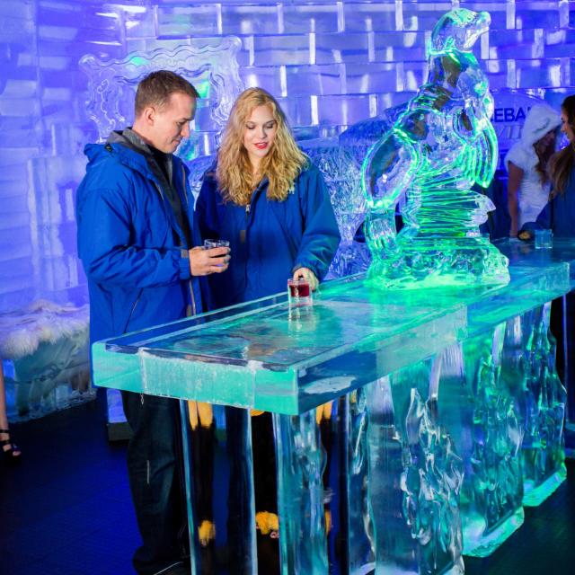 ICEBAR Orlando ice table