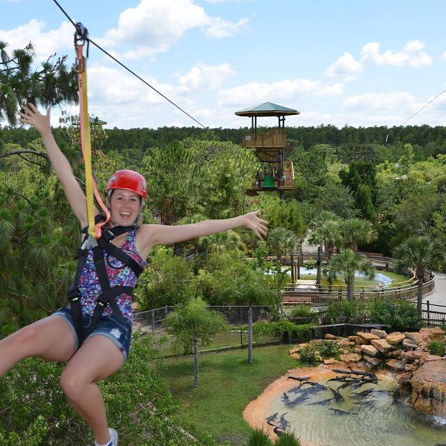 A woman enjoys a ride, as she is suspended above an enclosure brimming with alligators, on the Screamin' Gator Zip Line at Gatorland.