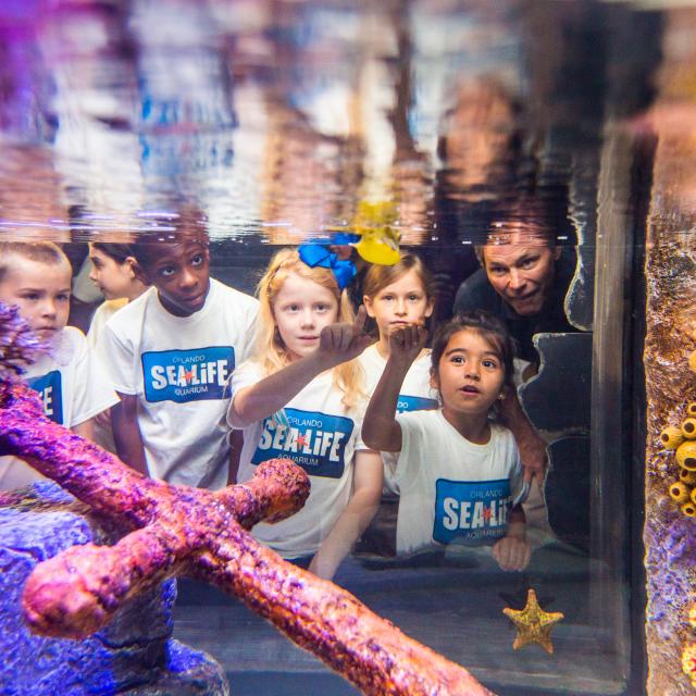 SEA LIFE Orlando Aquarium kids and habitat