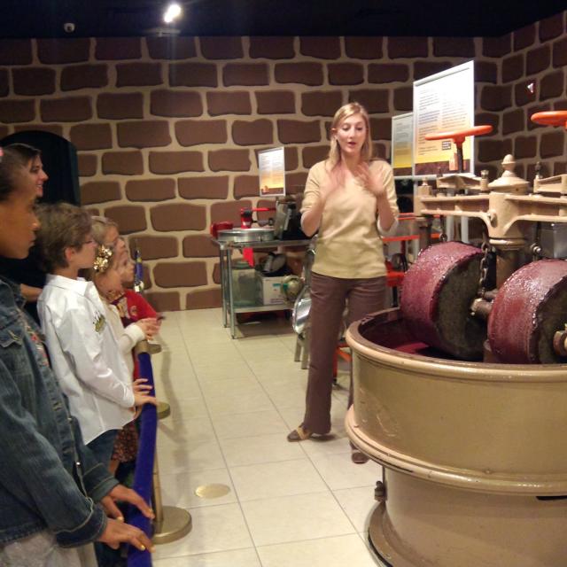 Chocolate Kingdom - Interactive Factory Adventure Tour