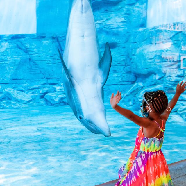 Clearwater Marine Aquarium girl looking at  Dolphin