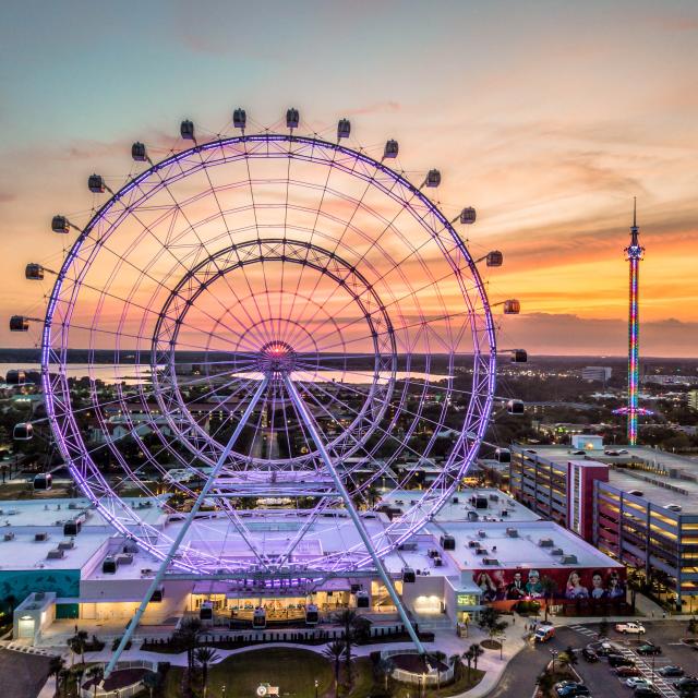 ICON Orlando™ aerial view of complex and wheel