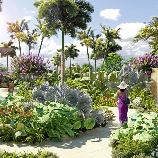 Conrad Orlando rendering spa garden