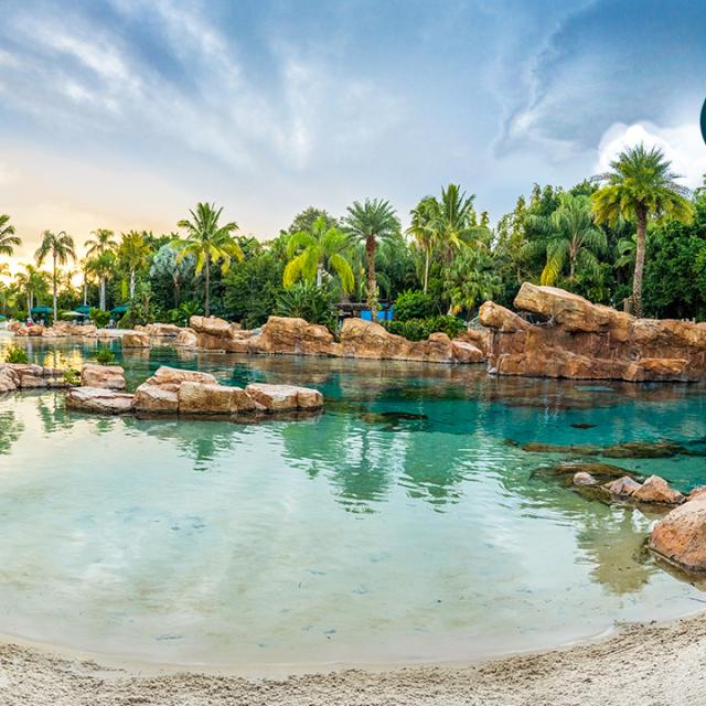 Discovery Cove for zoom background