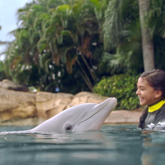 Girl swimming with a dolphin at Discover Cove