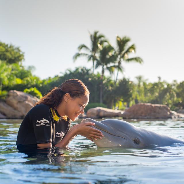 A woman swimming with a dolphin at Discovery Cove