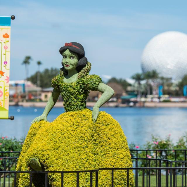 The popular Snow White topiary at the Germany Pavilion offers a prime photo op during the Epcot International Flower & Garden Festival. The Festival features dozens of character topiaries, stunning floral displays, Outdoor Kitchens with fresh taste treats, gardening seminars and the Garden Rocks concert series.
