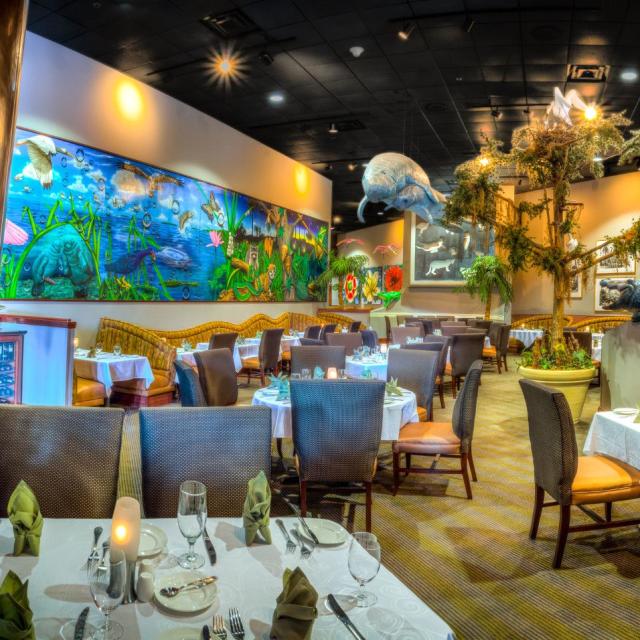 Everglades interior with aquarium