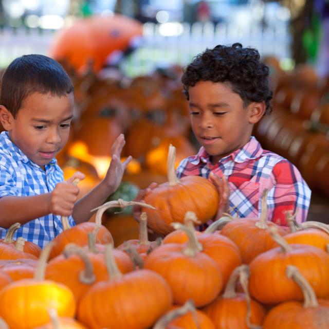 Celebration Town Center falling leaves kids pumpkins
