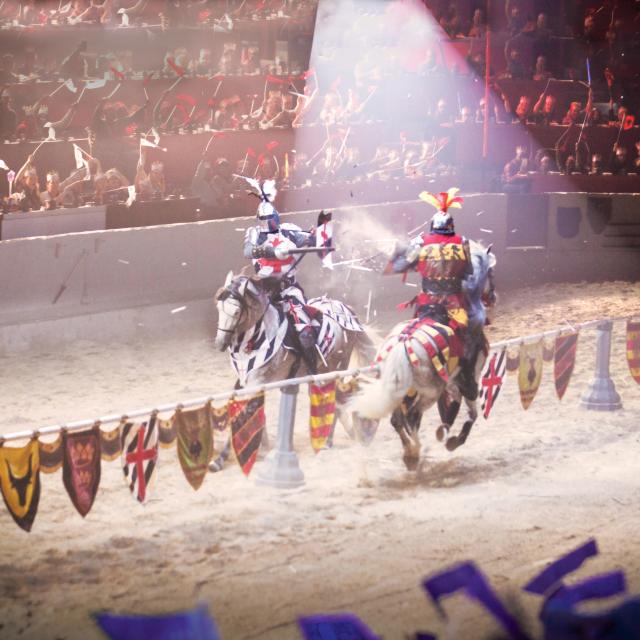 Medieval Times Dinner & Tournament knights joust