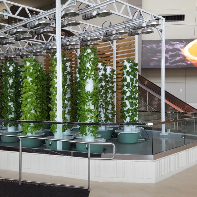 Hydroponics at the Orange County Convention Center