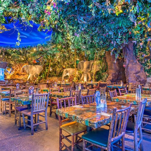 Interior dining room of Rainforest Cafe at Disney Springs™ .