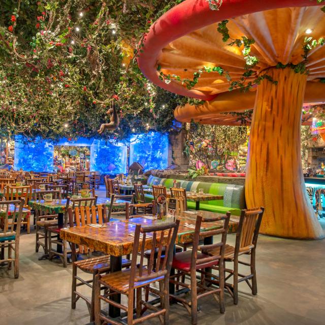 Interior dining room of Rainforest Cafe at Disney's Animal Kingdom®.