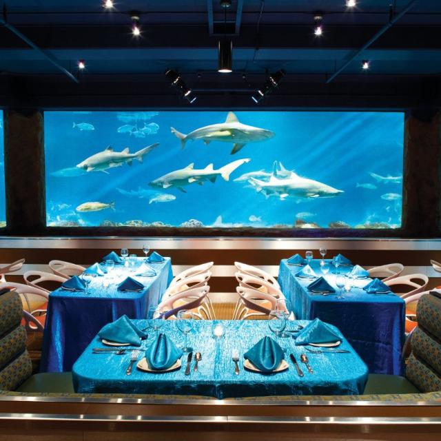 SeaWorld - Sharks Underwater Grill people dining with shark tank in the background
