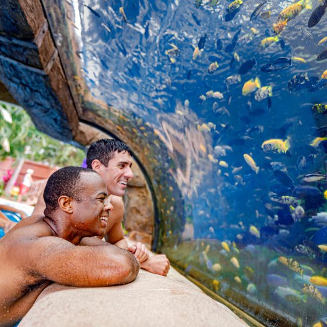Two men at the fish grotto in Aquatica® Orlando