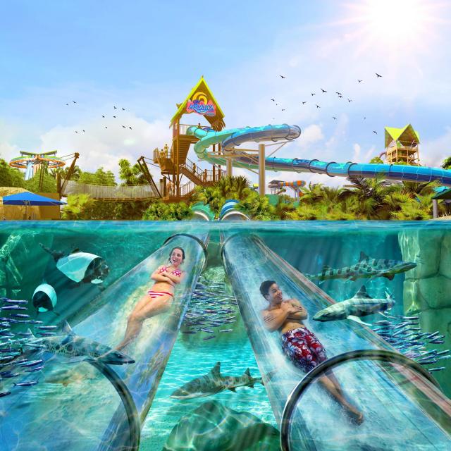 Promotional image for Reef Plunge attraction at Aquatica Orlando for use in the What's New 2022 Blog