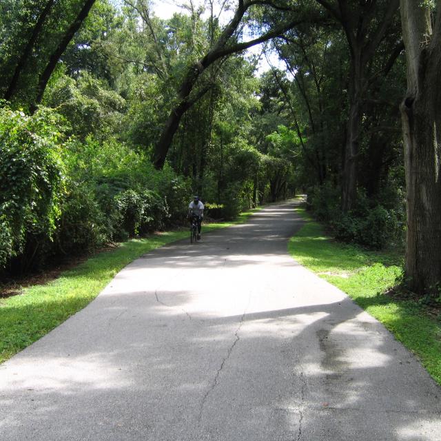 A single rider enjoys a stretch of canopied bike trail on the West Orange Trail
