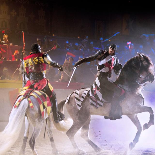 Medieval Times Dinner & Tournament knights battle