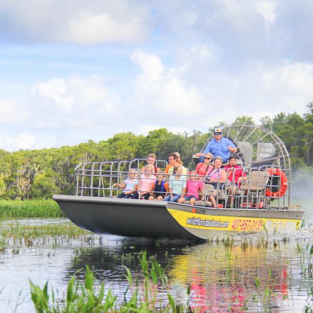 Wild Florida airboat